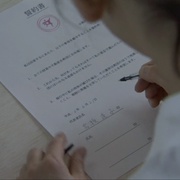 点击查看图片 金丝雀 カナリア