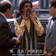 布鲁斯特的百万横财 Brewster's Millions