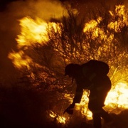 点击查看图片 大火将至 O Que Arde