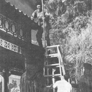 点击查看图片 血芙蓉