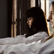 紫罗兰与雏菊 Violet & Daisy