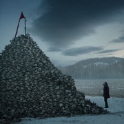 荒野猎人 The Revenant