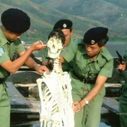神算