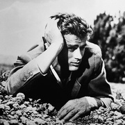 点击查看图片 伊甸园之东 East of Eden