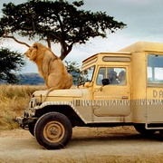 点击查看图片 徒步旅行队 Safari