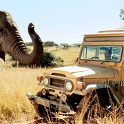 点击查看图片 徒步旅行队 Safari