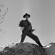 枪手 The Gunfighter