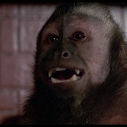 点击查看图片 异魔 Monkey Shines