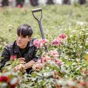 点击查看图片 也平凡