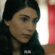 西辛2 Siccin 2
