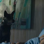 群狗 Los Perros