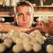 点击查看图片 铁窗喋血 Cool Hand Luke