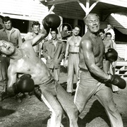 点击查看图片 铁窗喋血 Cool Hand Luke