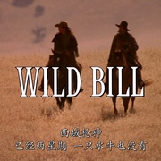 西域枪神 Wild Bill