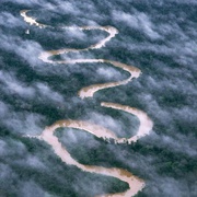 点击查看图片 亚马逊萌猴奇遇记 Amazonia