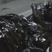 点击查看图片 嗜血狂魔 True Bloodthirst