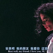 点击查看图片 迈克尔·杰克逊:偶像的一生 Michael Jackson: The Life of an Icon