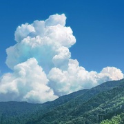点击查看图片 雀斑公主 竜とそばかすの姫