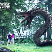 点击查看图片 长白山天池水怪
