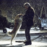 点击查看图片 忠犬八公的故事 Hachi: A Dog's Tale