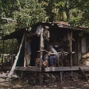 点击查看图片 老人与海 The Old Man and the Sea