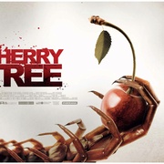 点击查看图片 阴桃术 Cherry Tree