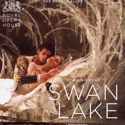 点击查看图片 天鹅湖 Swan Lake