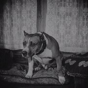 屠夫小子 The Butcher Boy