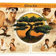 功夫梦：融合之道 Karate Kid: Legends