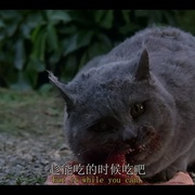 点击查看图片 宠物坟场 Pet Sematary