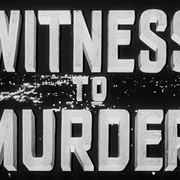 点击查看图片 碧窗艳影 Witness to Murder