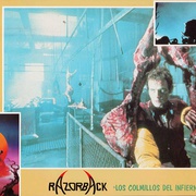 点击查看图片 猎魔 Razorback