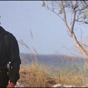 点击查看图片 鳄鱼邓迪2 'Crocodile' Dundee II