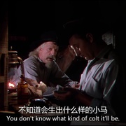 点击查看图片 春晓大地 The Red Pony