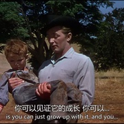 点击查看图片 春晓大地 The Red Pony