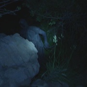 点击查看图片 小夜灯 Nightlight