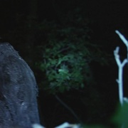 点击查看图片 小夜灯 Nightlight