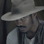 一个国家的诞生 The Birth of a Nation