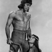 点击查看图片 草莽雄风 Apache