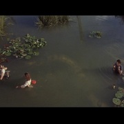 点击查看图片 狂蟒之灾2 Anacondas: The Hunt for the Blood Orchid