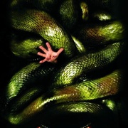 点击查看图片 狂蟒之灾2 Anacondas: The Hunt for the Blood Orchid