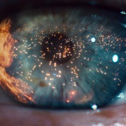 点击查看图片 银翼杀手 Blade Runner