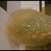 点击查看图片 异形侵袭 Contamination