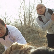 王小山夜谭之2359
