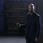 点击查看图片 猎鹰突起 Falcon Rising