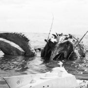 哥斯拉·伊比拉·摩斯拉：南海大决斗 ゴジラ・エビラ・モスラ 南海の大決闘