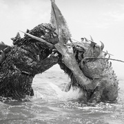哥斯拉·伊比拉·摩斯拉：南海大决斗 ゴジラ・エビラ・モスラ 南海の大決闘
