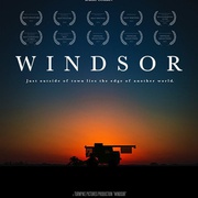 温莎之谜 Windsor