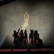 女武神 Die Walküre