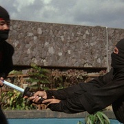 点击查看图片 美国忍者 American Ninja